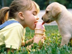 een meisje eet een ijsje met een hond en raakt besmet met parasieten